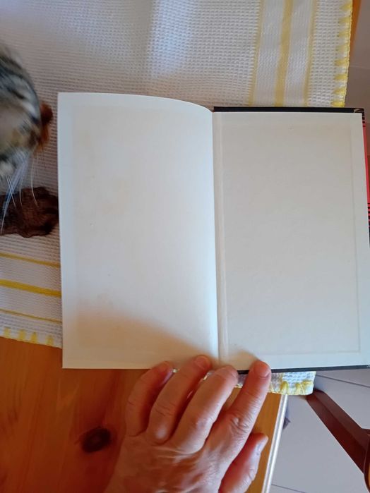 Livros policiais Dick Haskins/Mary Higgins Clark/Rex Stout