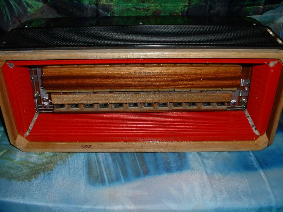 Acordeão Avenda G, .240