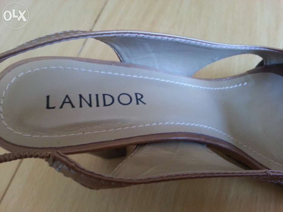 Sapatos Camel Lanidor - Nº 38-39