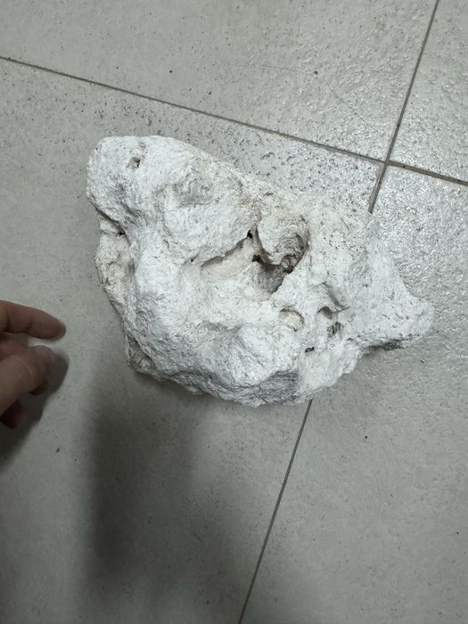 Pedra calcaria pata aquario