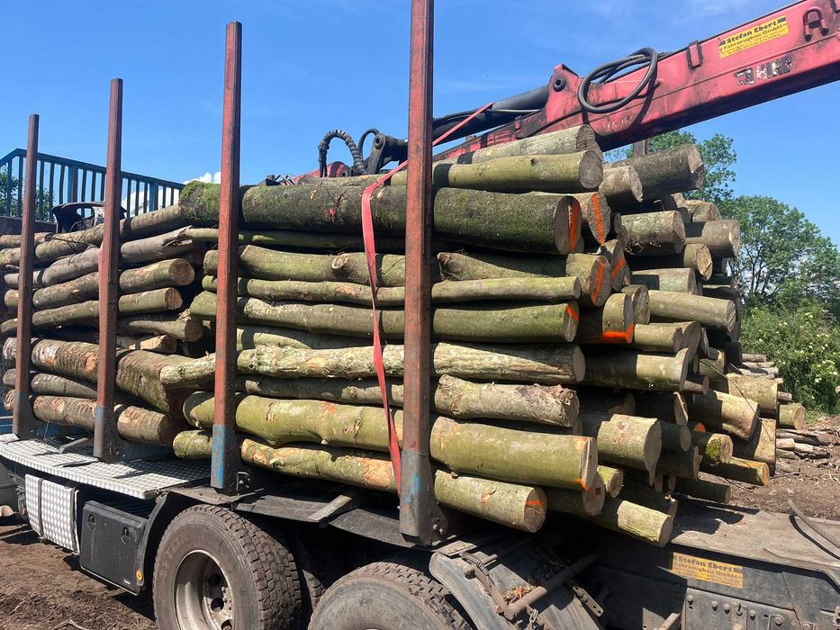 Drewno Opałowe, Kominkowe - Buk wałki