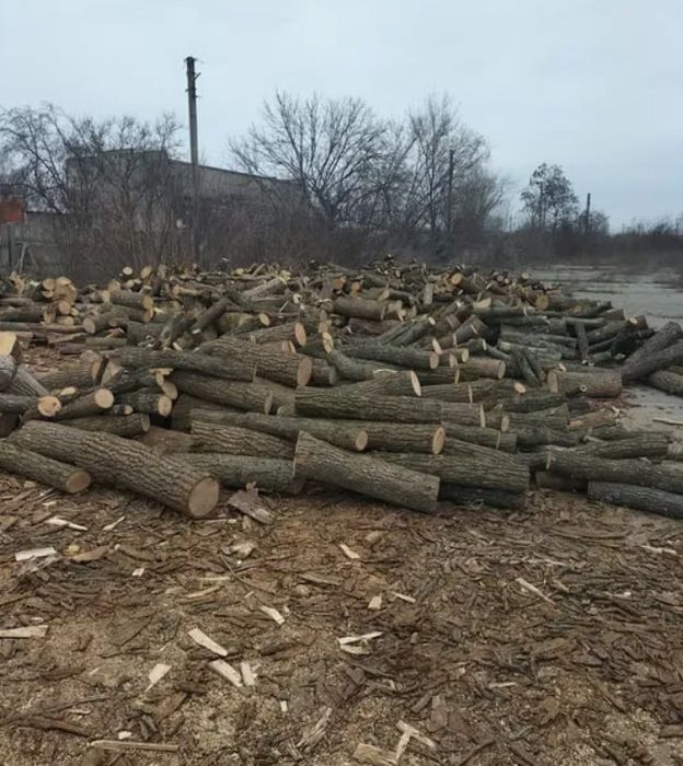 Дрова оптом та в роздріб, замовляй напряму без посередників!(10-45 м3)