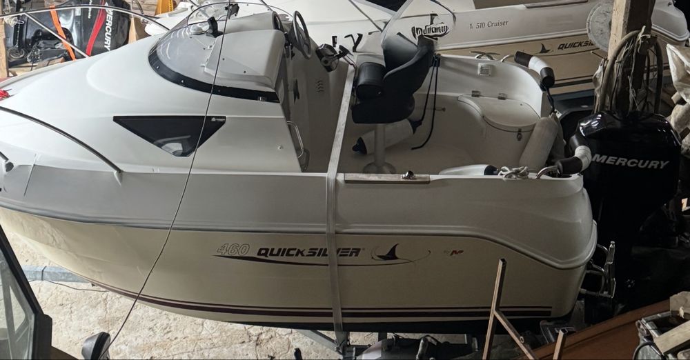 Quicksilver Mercury 50 EFI