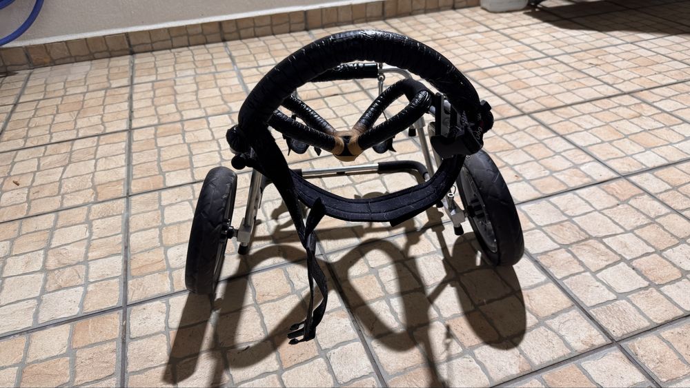 Cadeira de rodas para cão