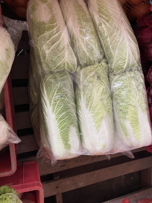 seler cebula marchew pekinka burak ziemniaki pory i inne