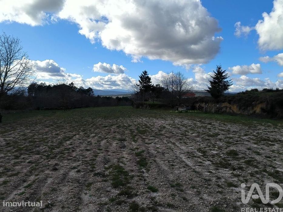Quinta T5 em João Antão de 228,00 m2