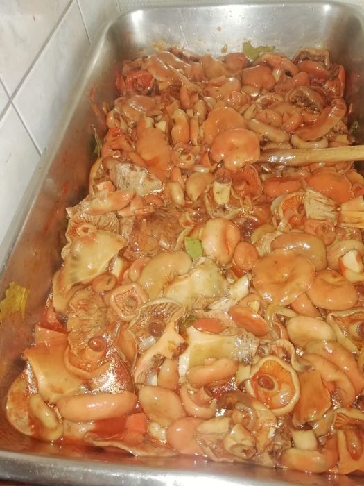 Rydze z beskidzkich lasow