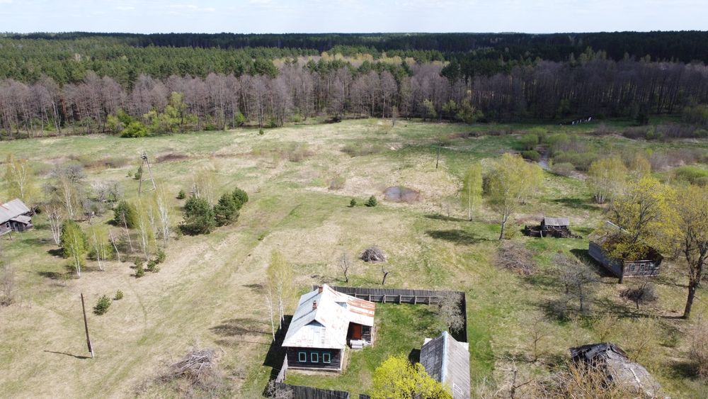 Будинок на хуторі, хвойний ліс, мальовниче місце.