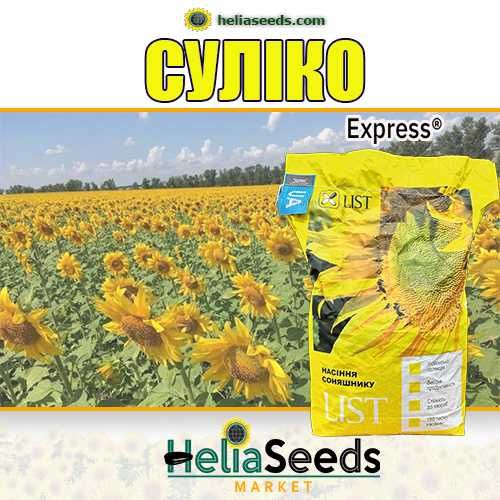 Насіння соняшнику від виробника. Гібриди під Гранстар/Євро-Лайтнінг