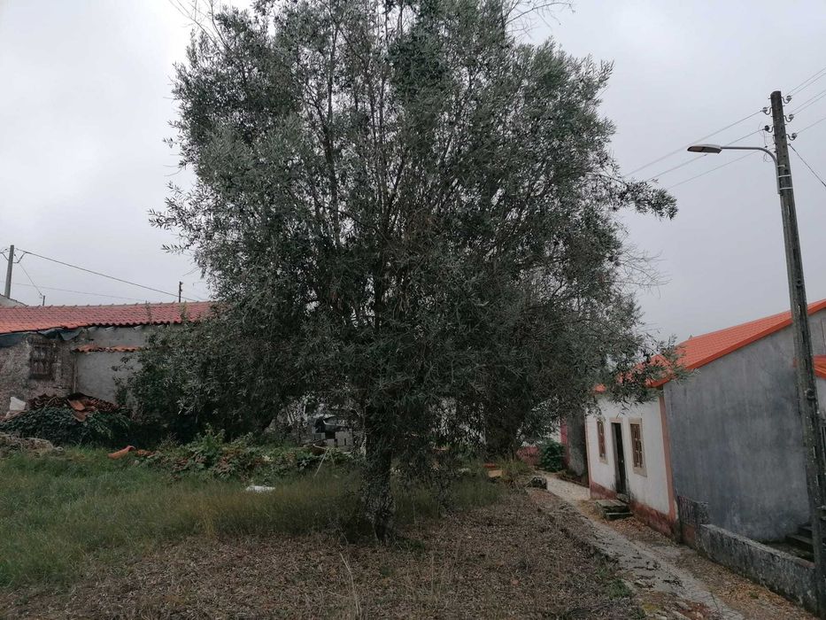 Vende-se "Excelente terreno urbano no núcleo histórico de Relvas, Pussos São Pedro (Alvaiázere)