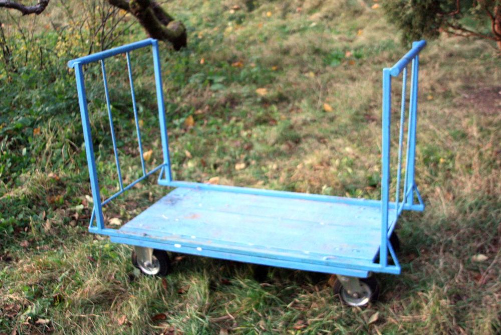 wózek platformowy budowlany paleciak