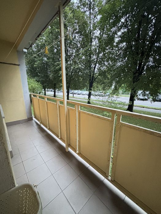 Zdjęcie 6