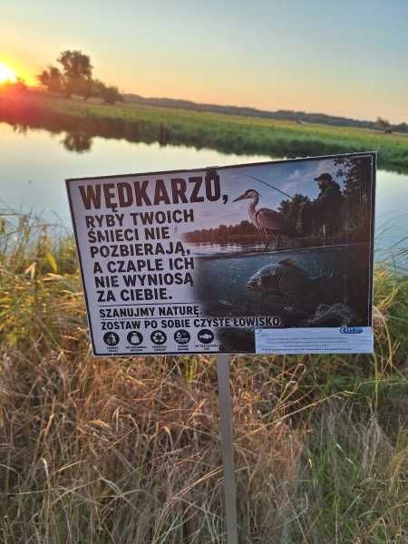 Przynęty sztuczne gumy. Larwy ważki -paskudy. 10 szt.- 5 cm. komplet.