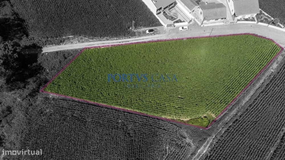 Land for Construction in Labruge