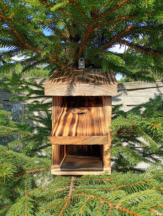 Budka lęgowa dla ptaków