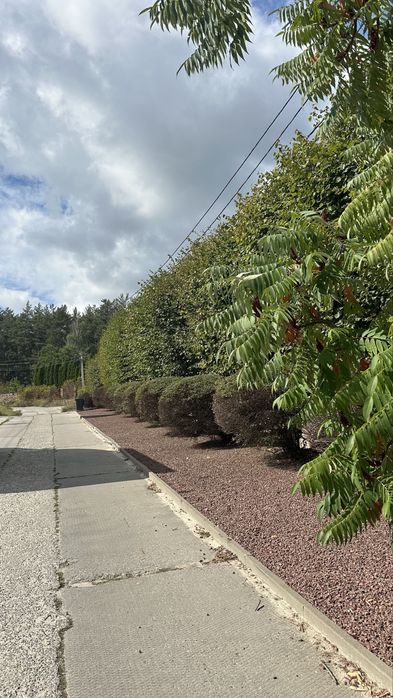 Продаж якісні БУДИНКИ, Стоянка 2, Ірпінь. 5 соток, 135 кв.м