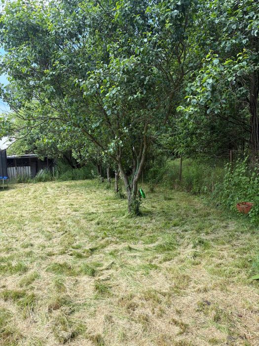 Działka ROD Zacisze Jelenia Góra 405 m² | Altana | Woda | Trampolina | Bez pośredników - Widok 2