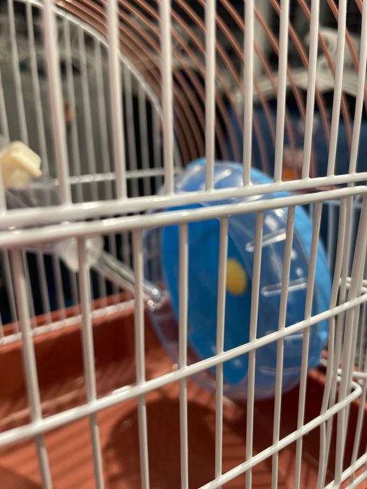 Gaiolas de hamster e acessórios