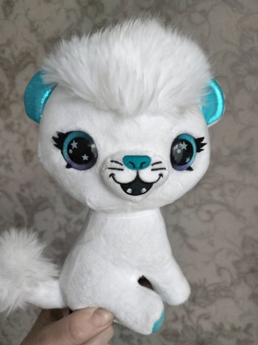 Білосніжне м'яке кошеня.