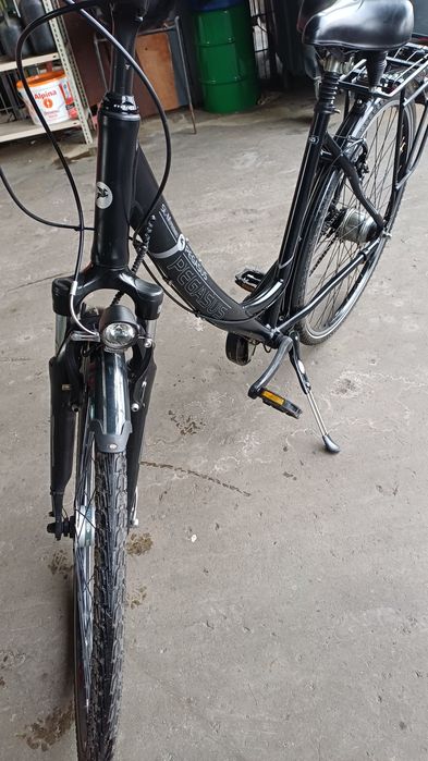 Rower damski pegasus