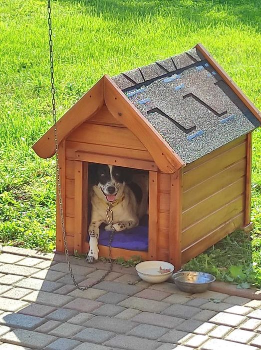 Будки для собак. Собачі будки