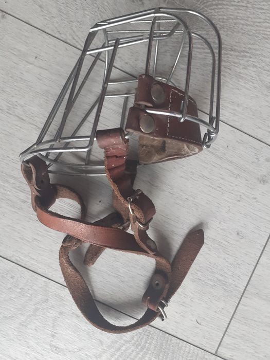 Koganiec dla psa solidny