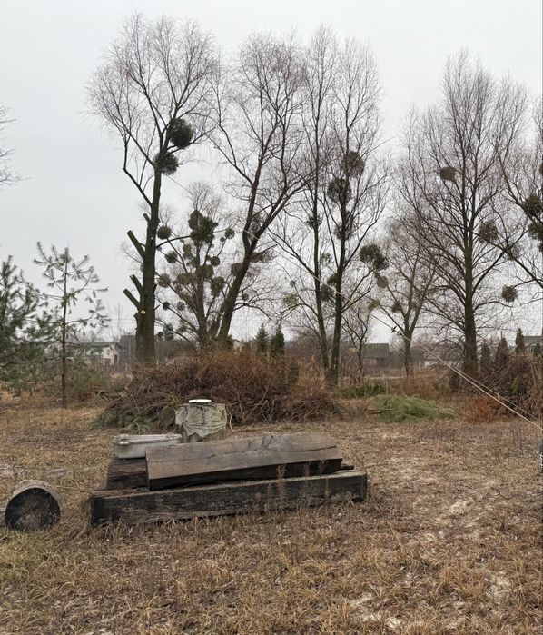 Спил аварійних дерев