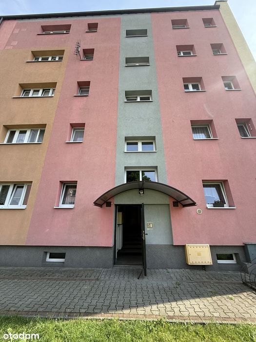 Okazja Brzozowa 39