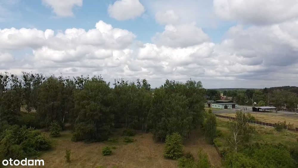 Trzciel - działki budowlane, spokojne miejsce, nowy podział, wz – pohled 4