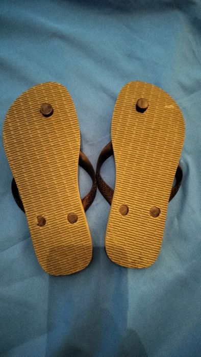 Chinelos Havaianas Masculino