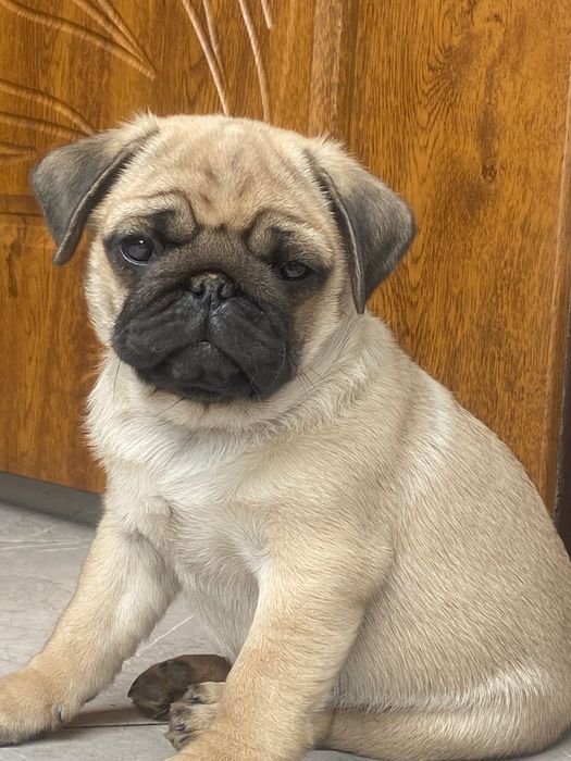 Хлопчик для найкращої родини