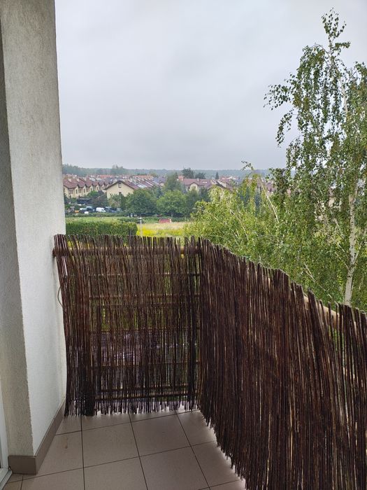 Zdjęcie 5