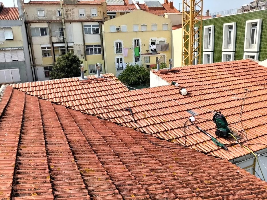Pintor Profissional