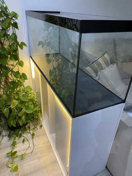 Aquario e Movel em branco