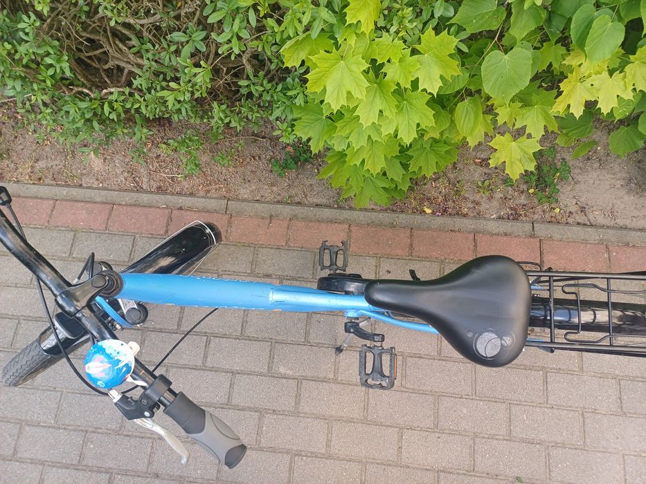 Rower Maxim 24"  .