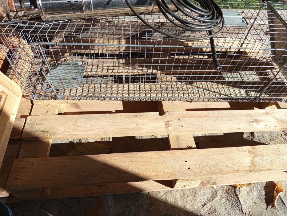 Transporter dla zwierząt