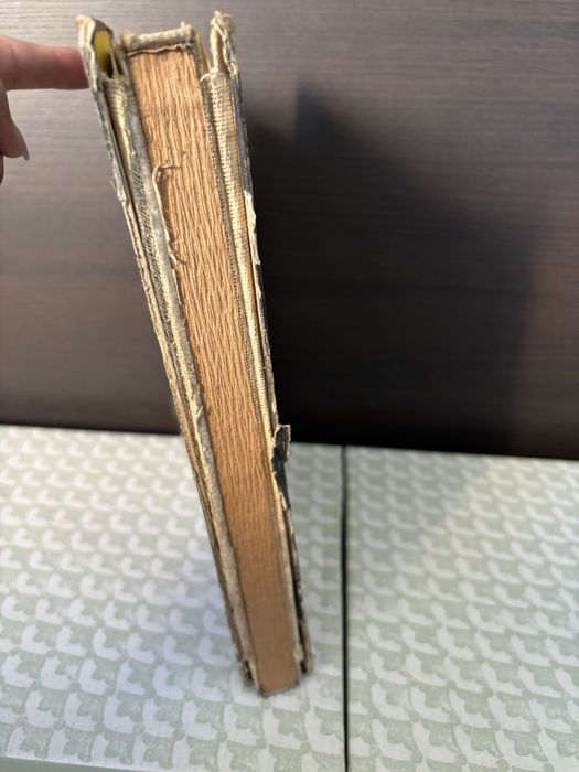 Tarpan 233 Budowa działanie eksploatacja Skwarek