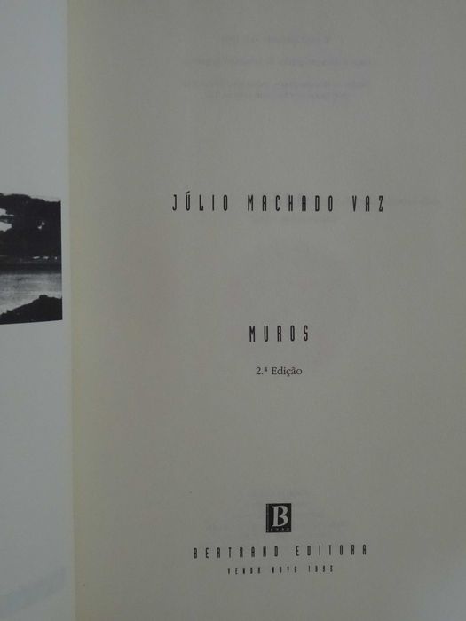 Muros de Júlio Machado Vaz