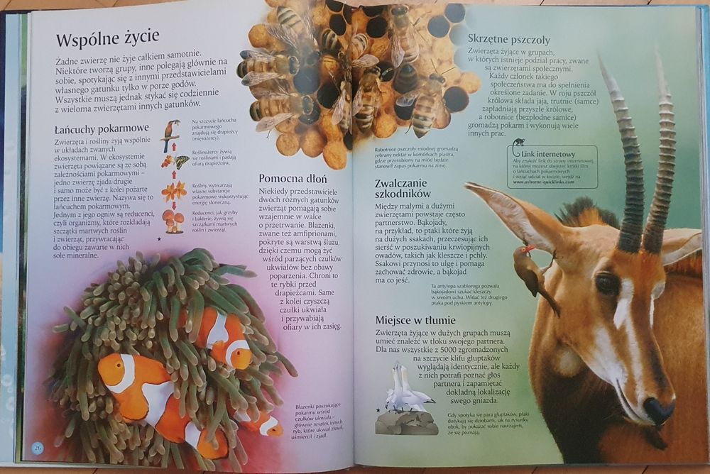 Zwierzęta świata. Davidson i Unwin.