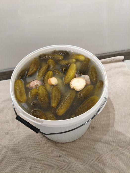 Ogórki kiszone bez konserwantów