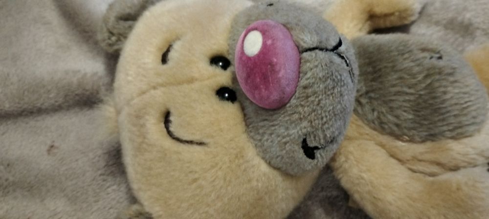 Miś Pimboli Depesche