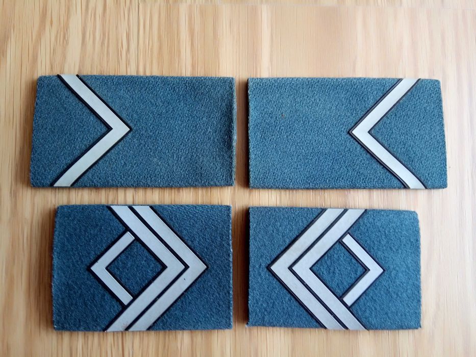 Divisas da farda dos Serviços Prisionais