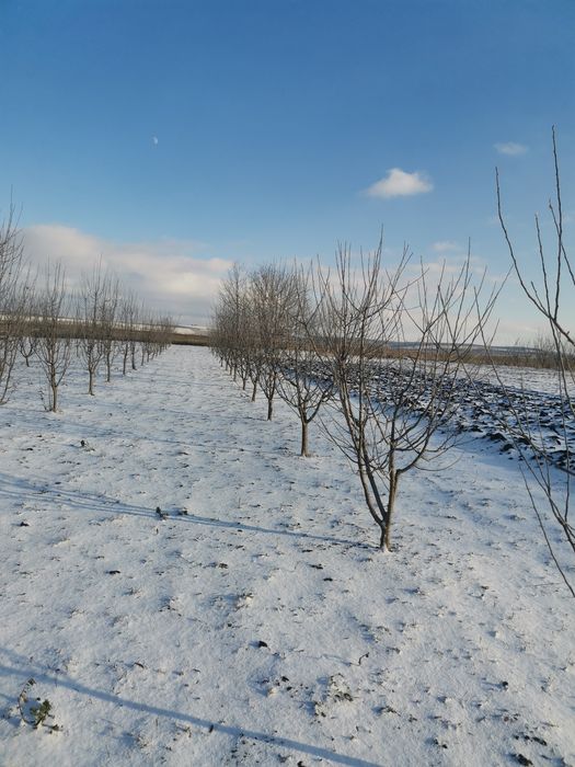 Продам земельну ділянку