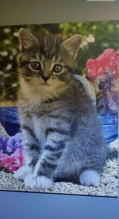 Puzzle 1500 kot w kwiatach