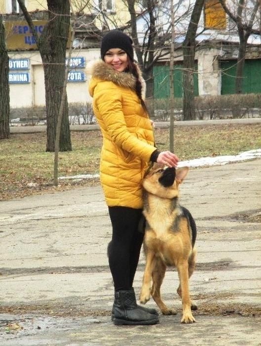 Дрессировка собак в Николаеве