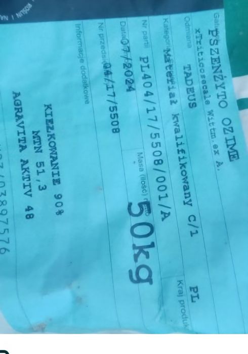 Pszenżyto tadeus  jednoroczne rok po centrali