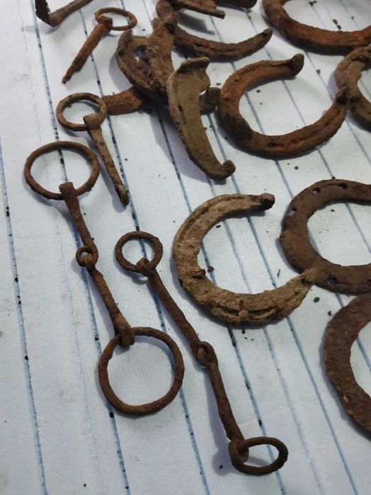 Набійки знахідки для копит тварин