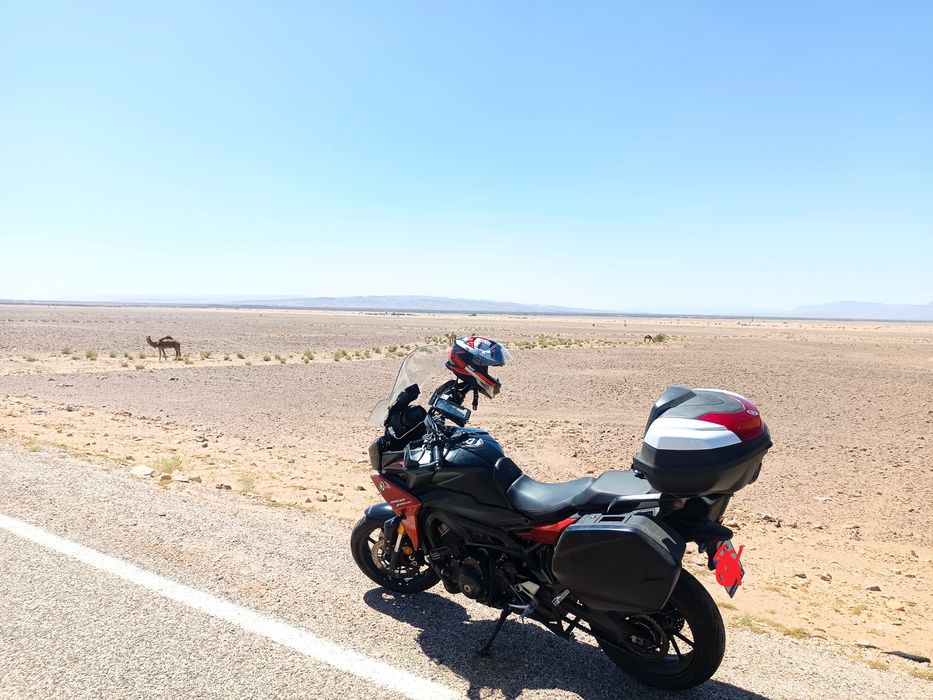 Yamaha tracer 900 gt 2020