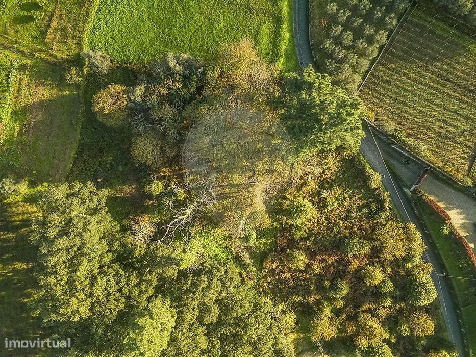 Terreno  para venda
