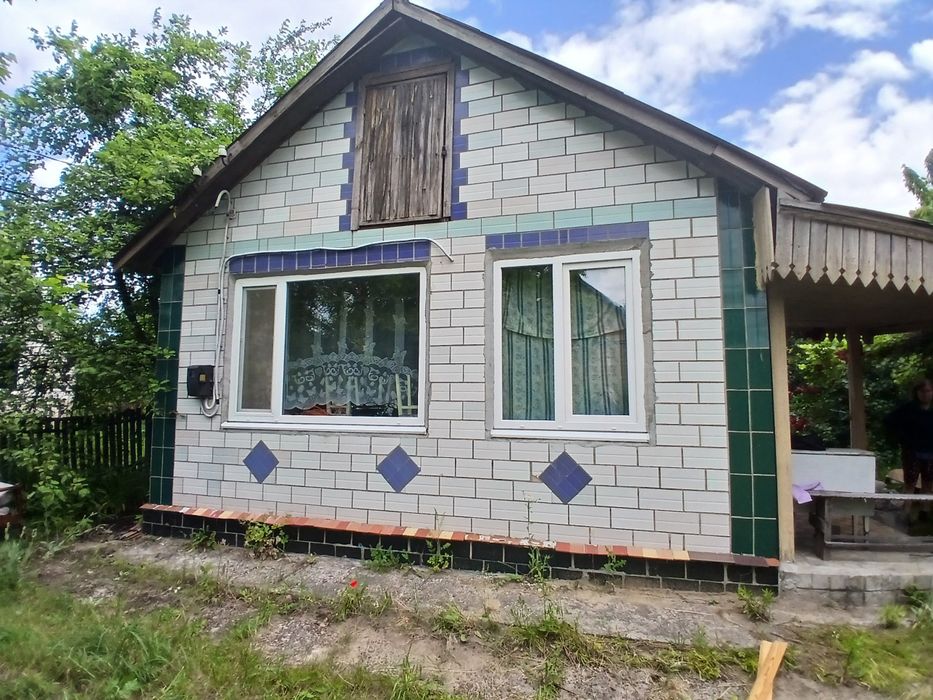 Дача біля озера серед природи